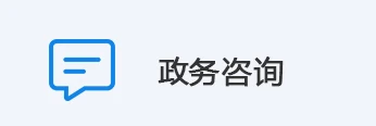 政务咨询