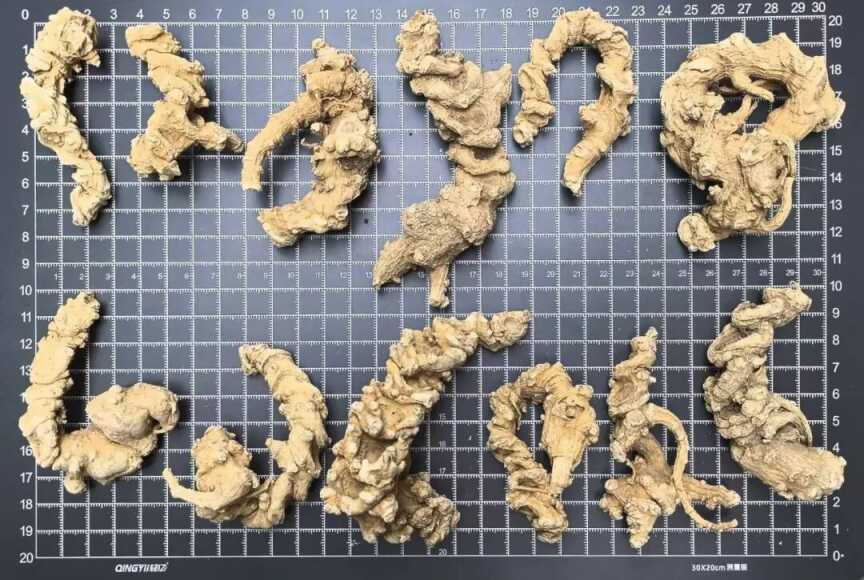 南七“1＋5”系列标准正式实施！“新时代神农尝百草”行动在滇取得标志性成果