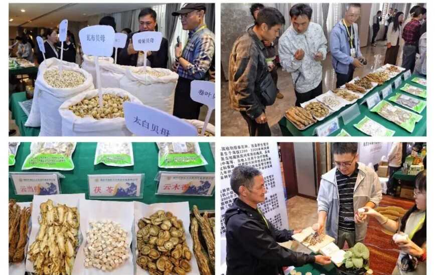 (宣教中心)2026年科技入滇进迪庆 推动云南中藏医药产业高质量发展2287.png